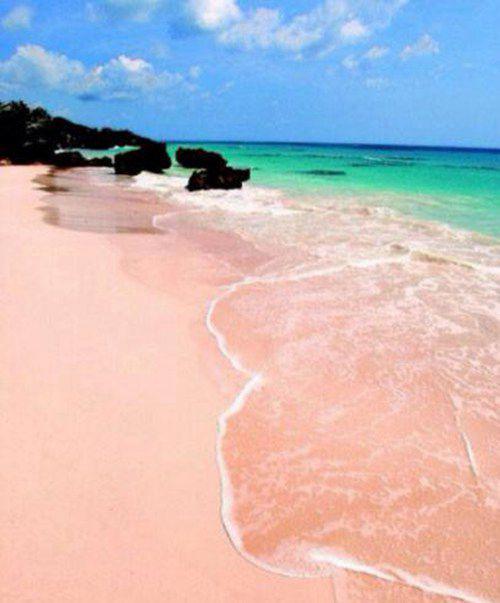 世界十大粉色沙滩