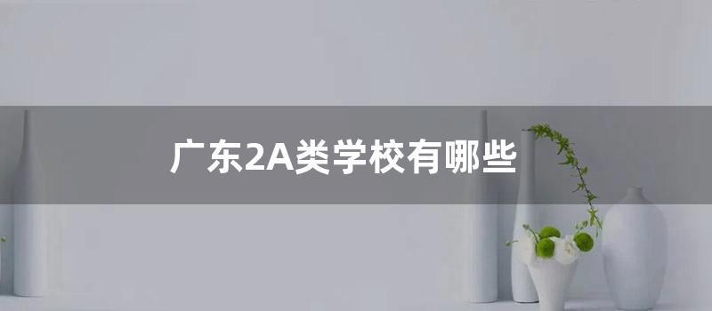 广东2A类学校有哪些 (广东专插本2a学校)