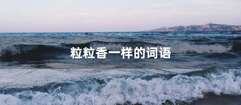 粒粒香一样的词语 (粒粒香的类似三个字的词语)