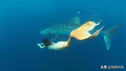 美人鱼”存在吗？ 世界上有美人鱼吗