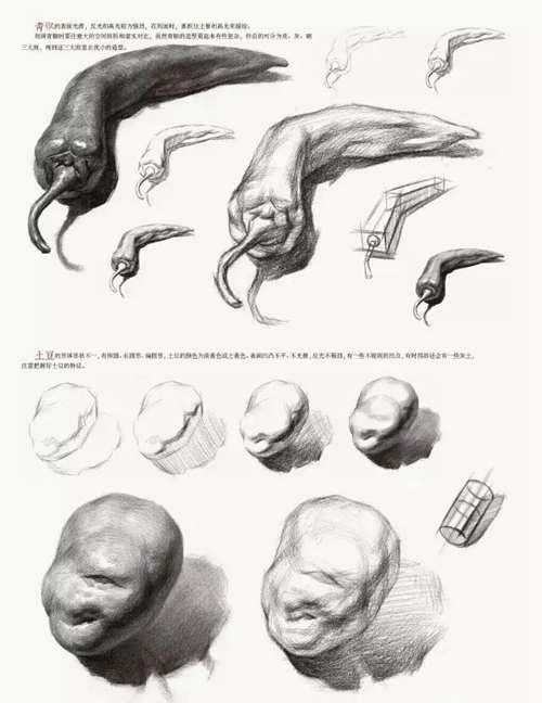 素描干货 单个静物的画法教程 值得收藏