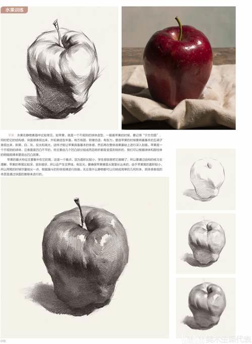 素描干货 单个静物的画法教程 值得收藏