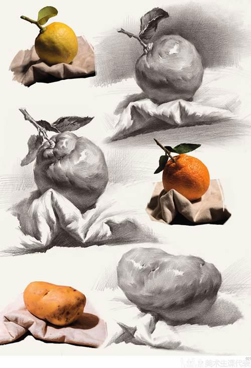 素描干货 单个静物的画法教程 值得收藏