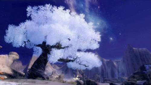 国内四大点卡游戏个人体验对比