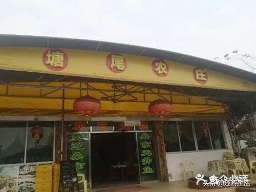 广州从化博雅山房介绍 博雅山房