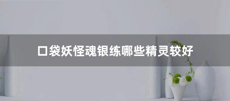 口袋妖怪魂银练哪些精灵较好 (口袋妖怪魂银二周目攻略)