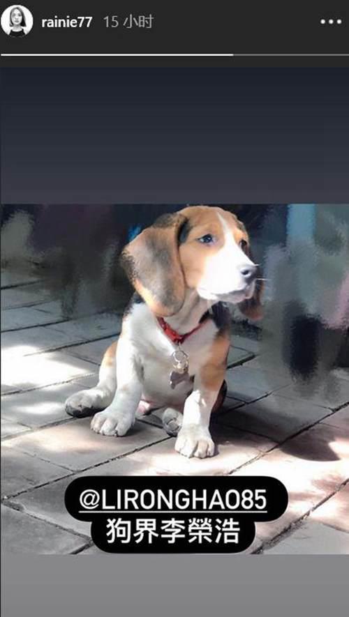 杨丞琳和李荣浩怎么认识在一起的