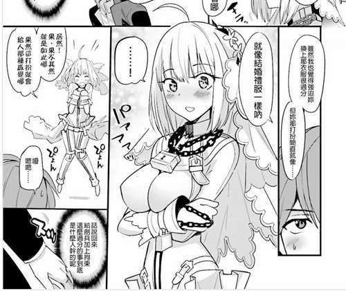 FGO 关于花嫁尼禄的一些介绍