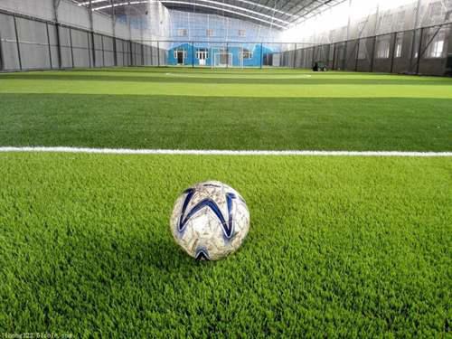 人造草坪草皮有哪些种类