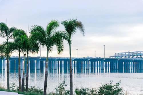 带孩子必须去22个地方 深圳好玩的免费景点