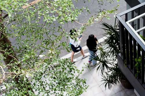 带孩子必须去22个地方 深圳好玩的免费景点