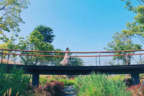 带孩子必须去22个地方 深圳好玩的免费景点