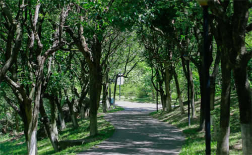 带孩子必须去22个地方 深圳好玩的免费景点