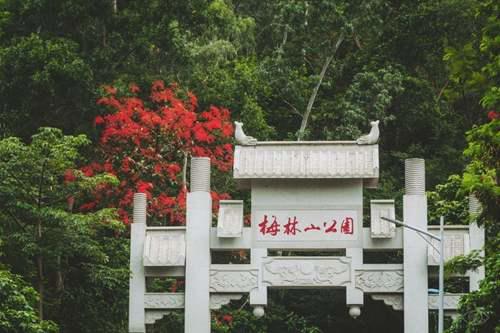 带孩子必须去22个地方 深圳好玩的免费景点