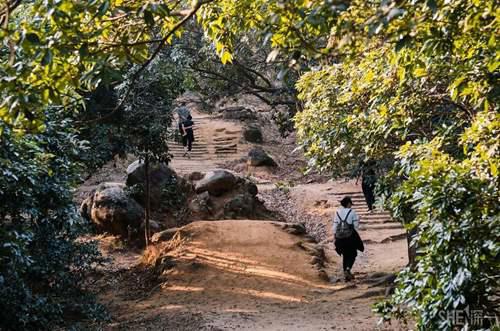 带孩子必须去22个地方 深圳好玩的免费景点