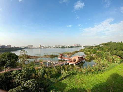 带孩子必须去22个地方 深圳好玩的免费景点