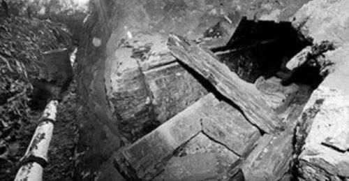 中国食人魔伏诛记丨云南鸵鸟肉案