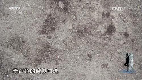 撒贝宁时间 最离奇案件 托梦擒凶 史上最绿老公