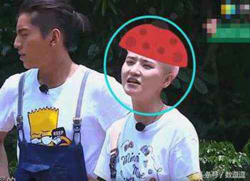 高能少年团杨紫在哪一期?