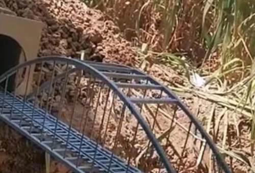 大学生菜地建微型高铁