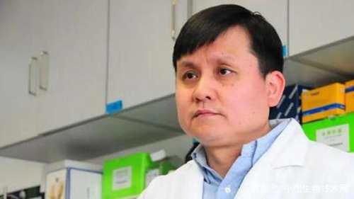 十一能出去浪吗?张文宏回答了