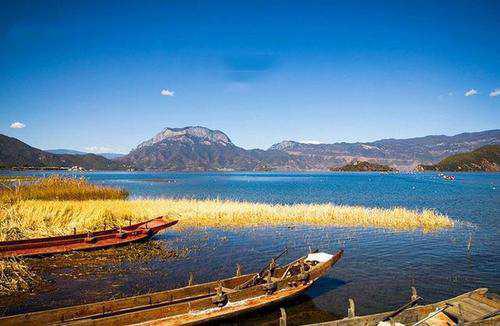 十一能出去浪吗?张文宏回答了