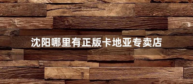 沈阳哪里有正版卡地亚专卖店 (卡游旗舰店在沈阳哪里)