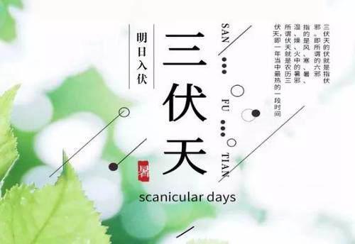 起伏是几月几号2021年