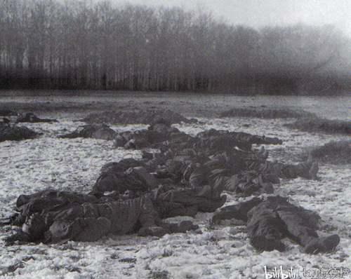 绿色魔鬼 天降猎兵 二战德国伞兵的成立 装备和战史