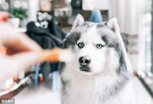 倩女幽魂好玩吗