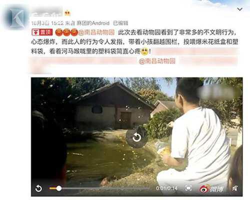 游客投喂大象塑料袋