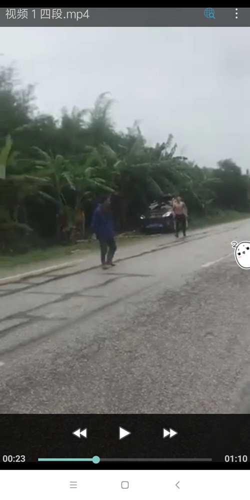 东北人偷香蕉事件