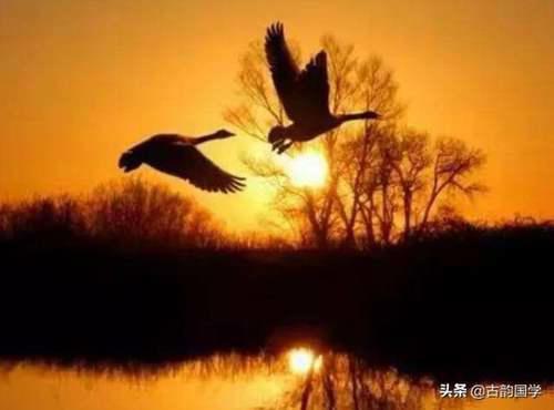 千古经典「五律」10首 经典五言律诗