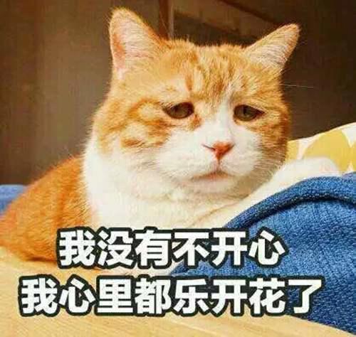 Tegra4 高跑分背后的无奈 英伟达的手机芯片 最后之作