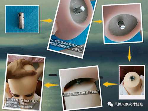 实体娃娃 萌新入门必看