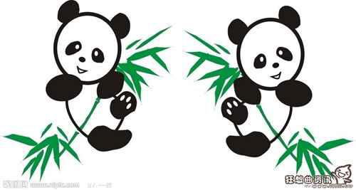 国宝熊猫的祖先是谁