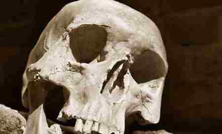 十大监狱生存技巧