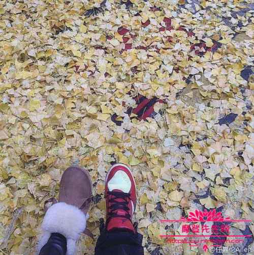 广平王任嘉伦女友聂欢多高