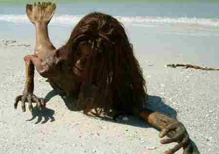 黑鳞鲛人活着的样子 美人鱼是真实存在的吗