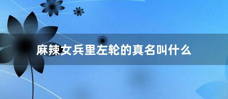 麻辣女兵里左轮的真名叫什么 (麻辣女兵左轮什么时候喜欢汤小米)