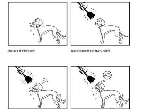 巴甫洛夫的狗
