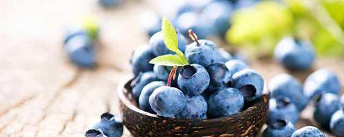 抗氧化的食物有哪些