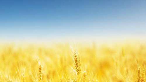 常识大全 地理常识汇总