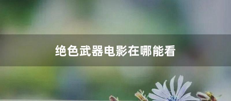 绝色武器电影在哪能看 (绝色武器电影粤语在线)