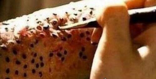 千万别手贱去搜这些词语