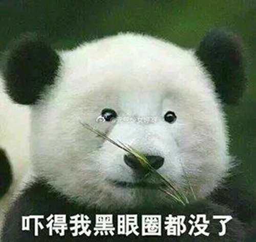罗志祥多人运动表情包第二弹
