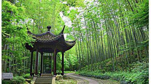 新西湖十景是哪十处