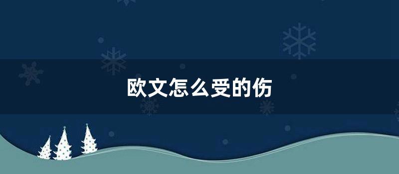欧文怎么受的伤 (欧文受了什么伤)