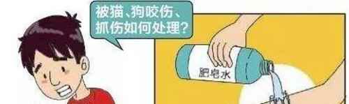 被狗狗咬出血了怎么办