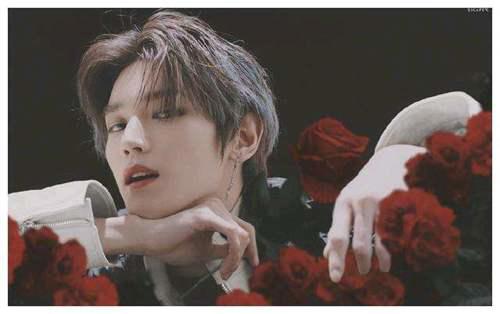 NCT最全NCT成员及分队安利21条21款总有一款你满意 一